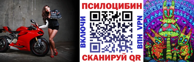 Галлюциногенные грибы мицелий Советск